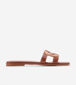 Cole Haan Chrisee Slide Women Sandals Dark Brown | 294637-QYT