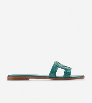 Cole Haan Chrisee Slide Women Sandals Green | 453728-OQS